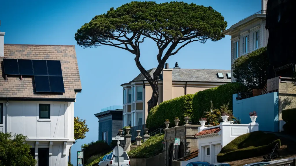Árbol frondoso junto a vivienda con paneles solares proyectando sombra sobre el tejado, ilustrando el impacto real de las sombras de perennifolias en la producción solar